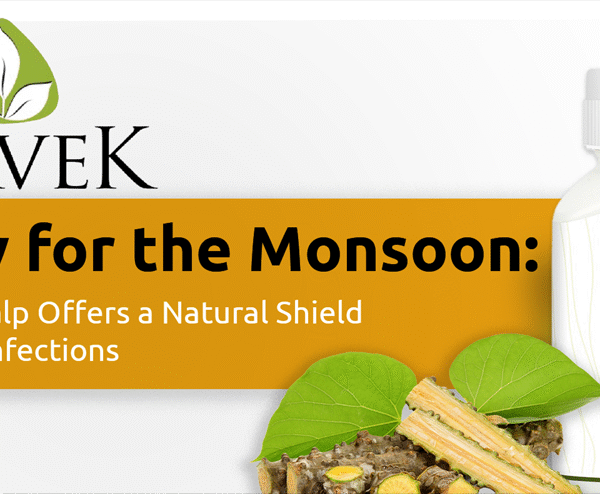 Giloy for the Monsoon: PravekKalp Offers a Natural Shield Against Infections